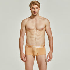 Shiny Boxer Brief