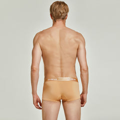 Shiny Boxer Brief