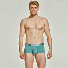Shiny Boxer Brief