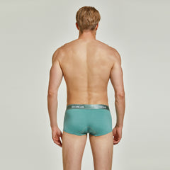 Shiny Boxer Brief