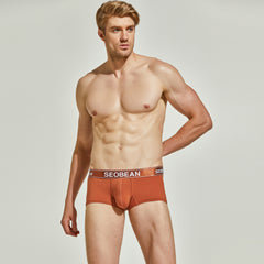 Shiny Boxer Brief