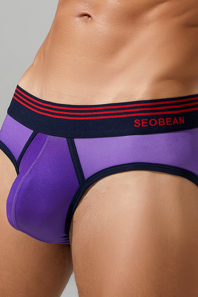 Gradient Colors Brief