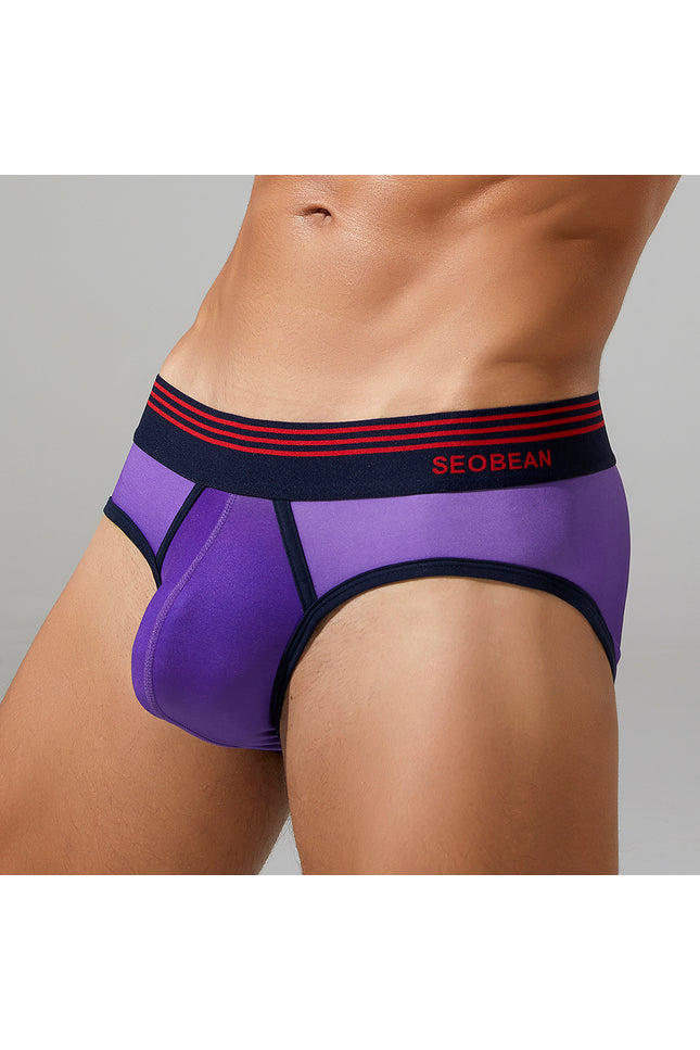 Gradient Colors Brief