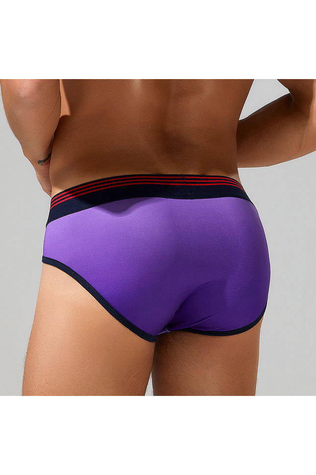 Gradient Colors Brief