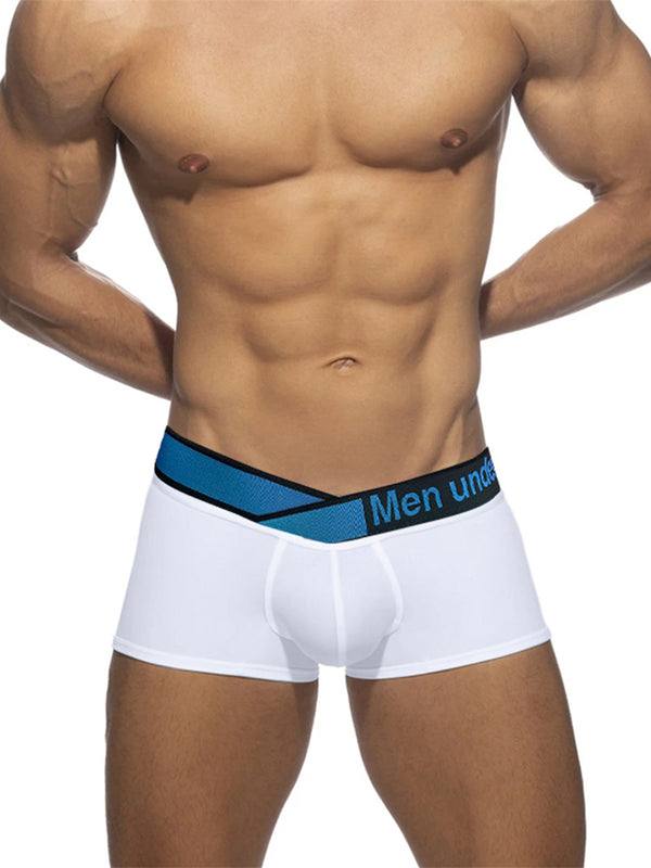 CloudFit- Nova Modal Trunks