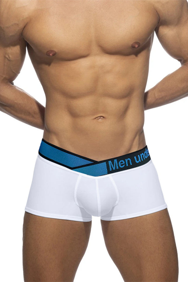 CloudFit- Nova Modal Trunks