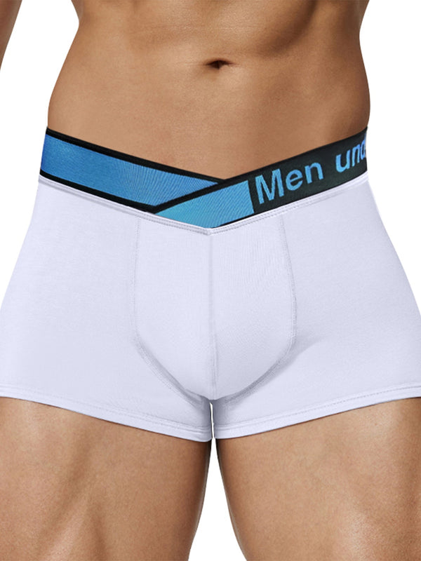 CloudFit- Nova Modal Trunks