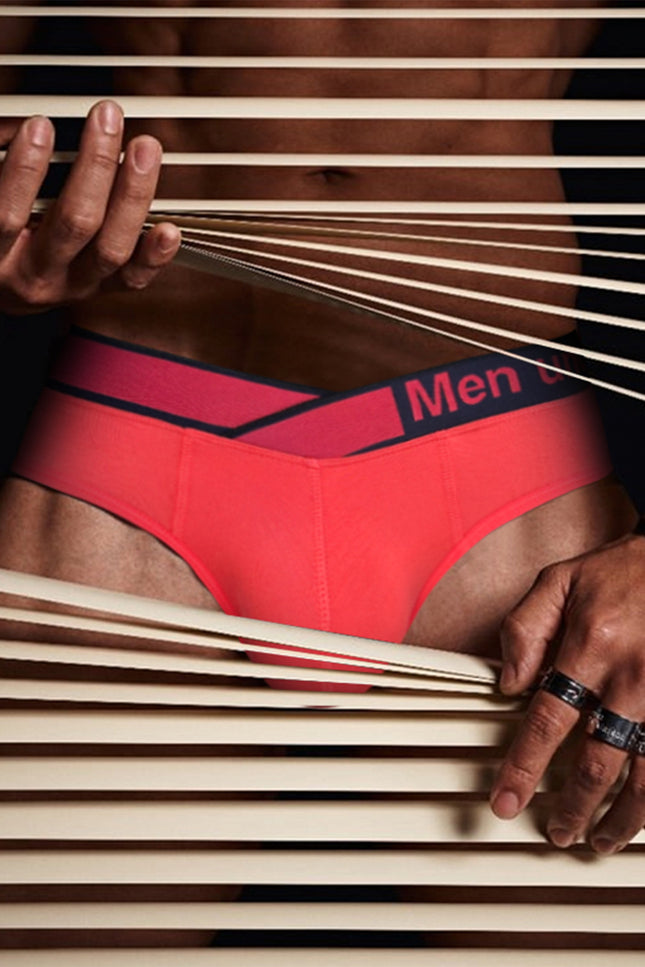 CloudFit- Ignite Modal Brief