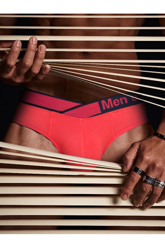 CloudFit- Ignite Modal Brief