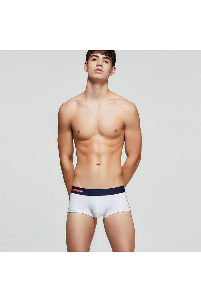Colourway Contrast Boxer Brief