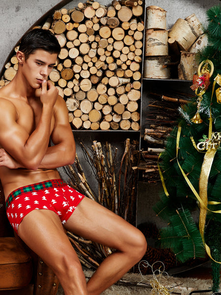 Holiday Special Boxer Brief