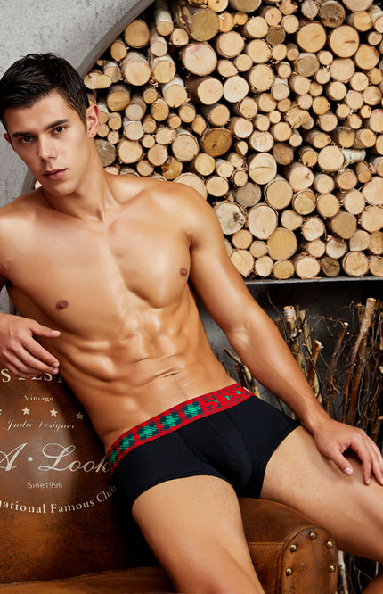 Holiday Special Boxer Brief