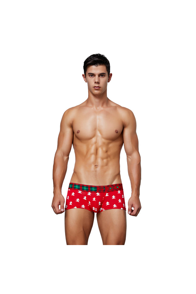 Holiday Special Boxer Brief