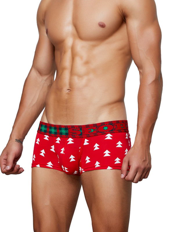 Holiday Special Boxer Brief