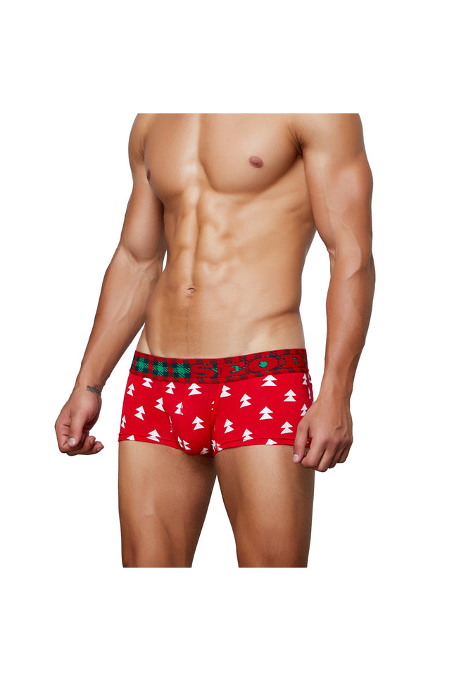 Holiday Special Boxer Brief