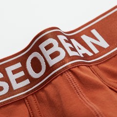 Shiny Boxer Brief