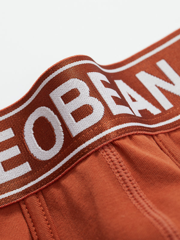Shiny Boxer Brief