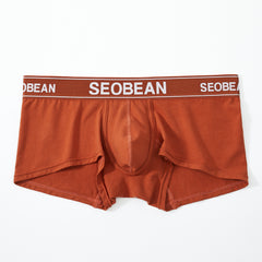 Shiny Boxer Brief