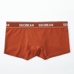 Shiny Boxer Brief