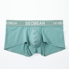 Shiny Boxer Brief