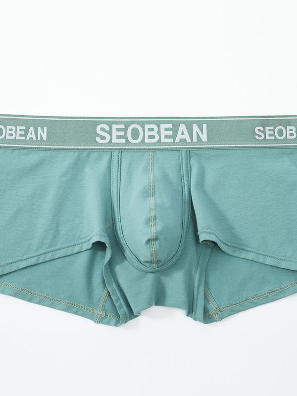 Shiny Boxer Brief