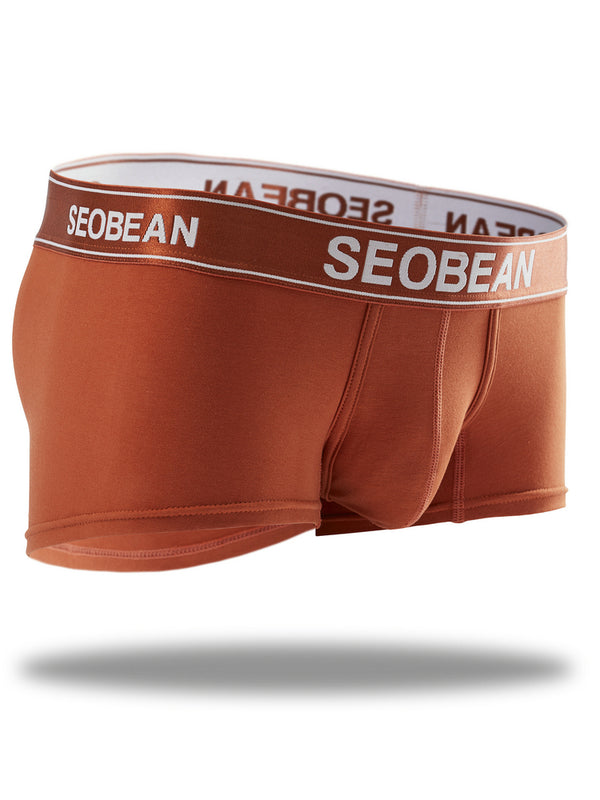 Shiny Boxer Brief