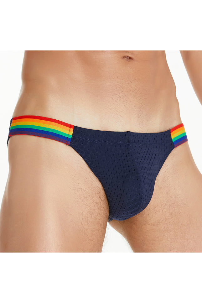 Rainbow Mesh Brief