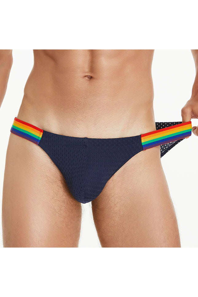 Rainbow Mesh Brief