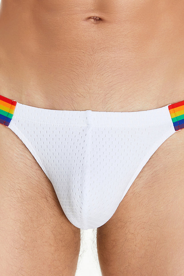 Rainbow Mesh Brief