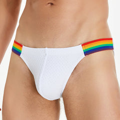Rainbow Mesh Brief