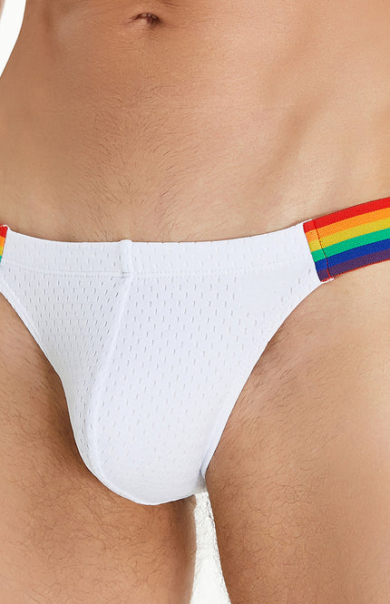 Rainbow Mesh Brief