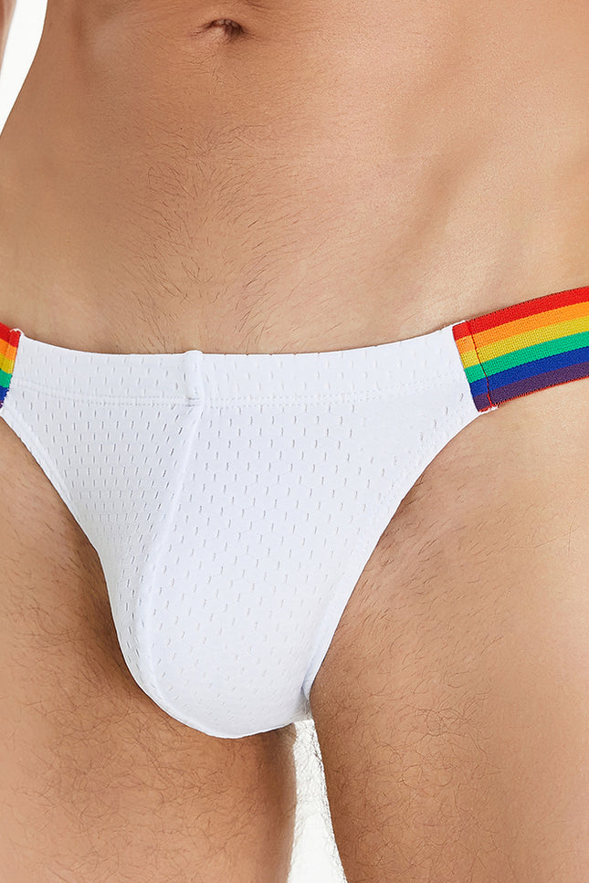Rainbow Mesh Brief
