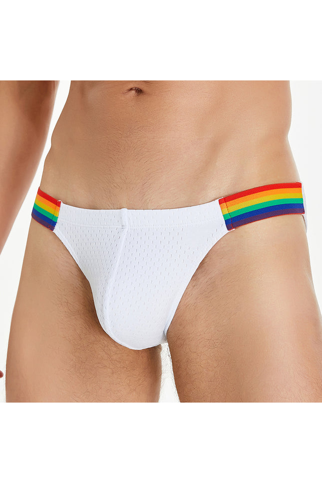 Rainbow Mesh Brief