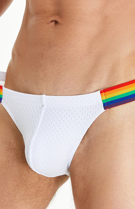 Rainbow Mesh Brief