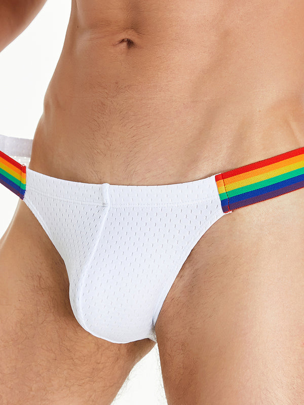 Rainbow Mesh Brief