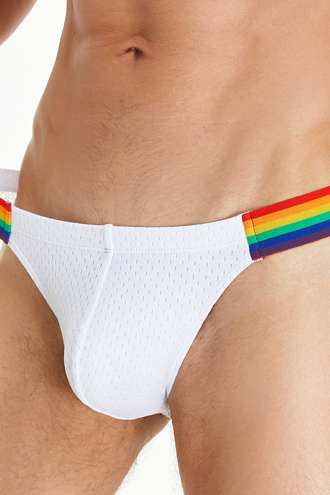Rainbow Mesh Brief