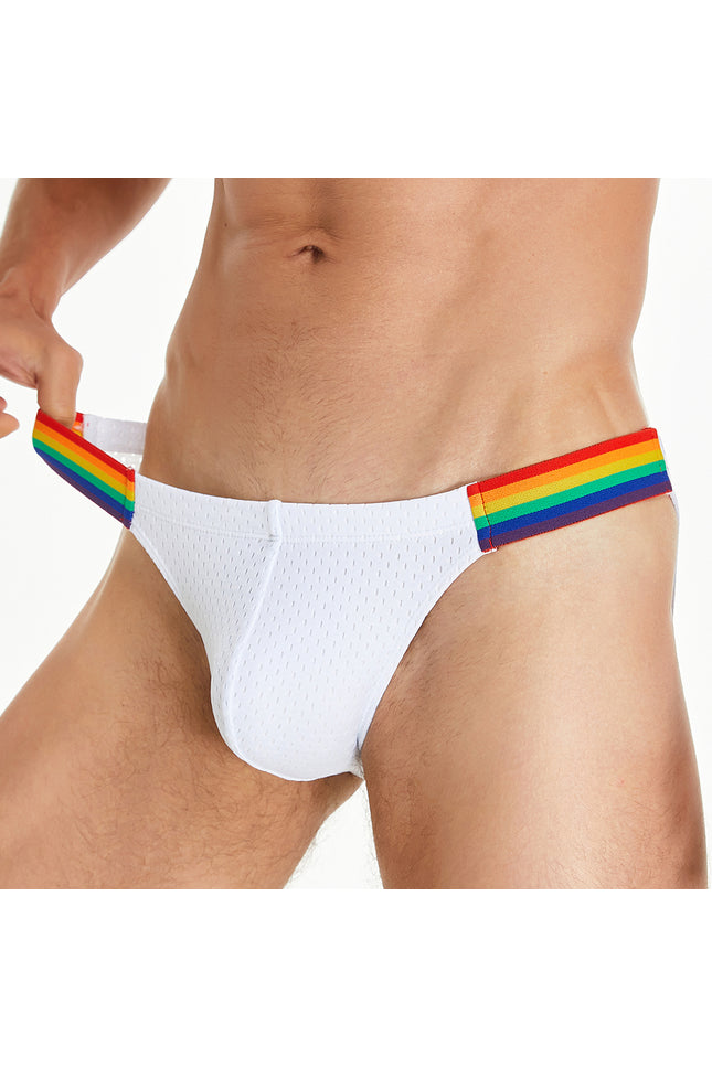 Rainbow Mesh Brief
