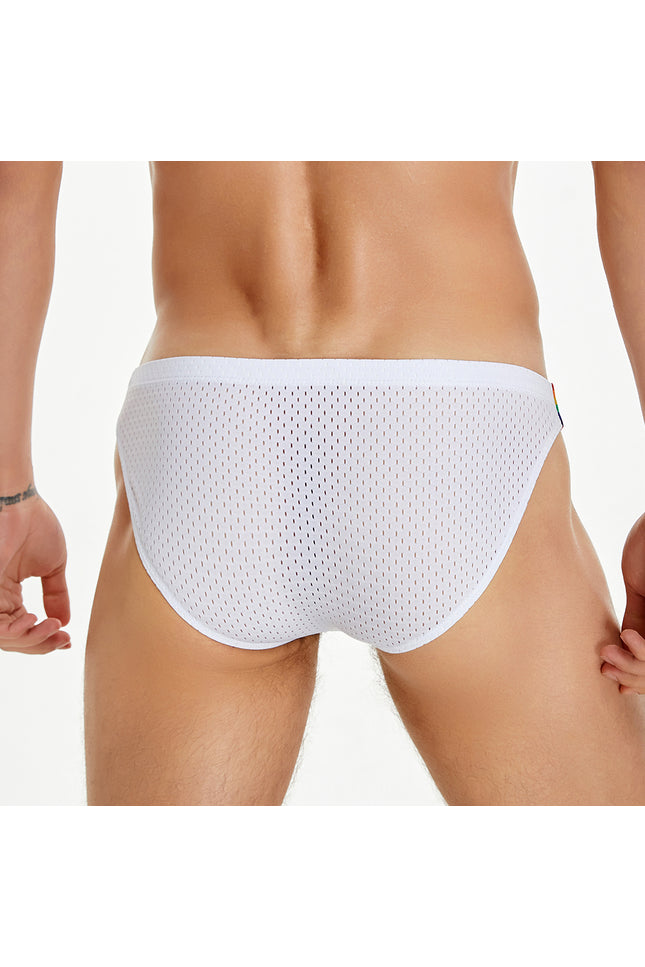 Rainbow Mesh Brief