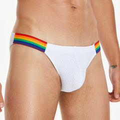 Rainbow Mesh Brief