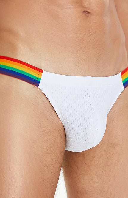 Rainbow Mesh Brief