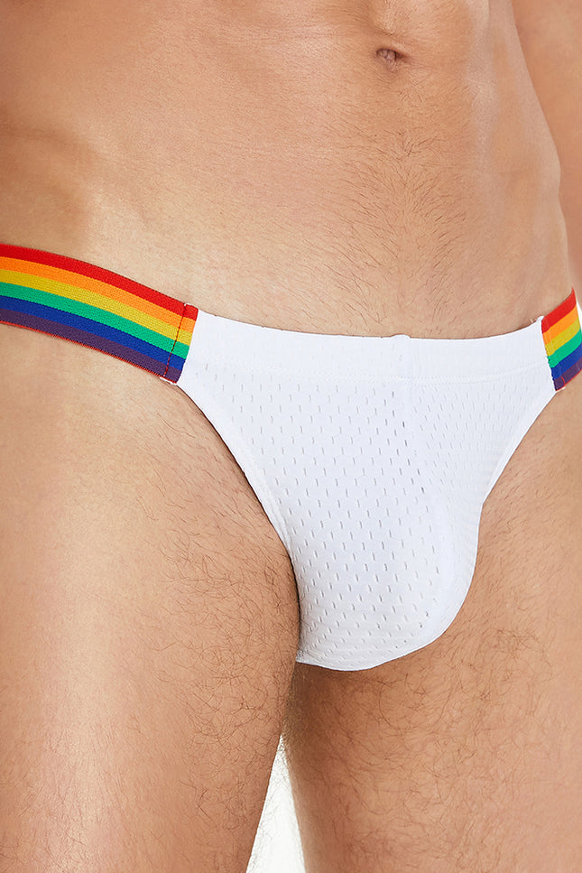 Rainbow Mesh Brief