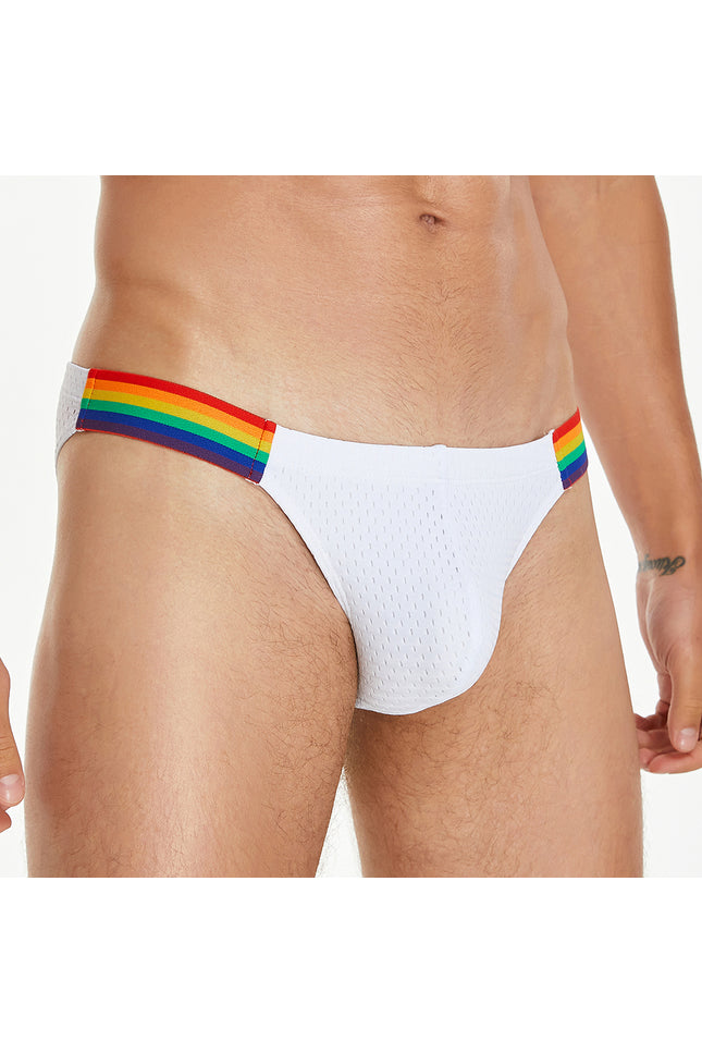 Rainbow Mesh Brief