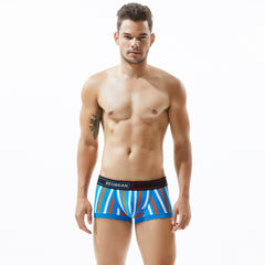 Low Rise Stripe Boxer Brief