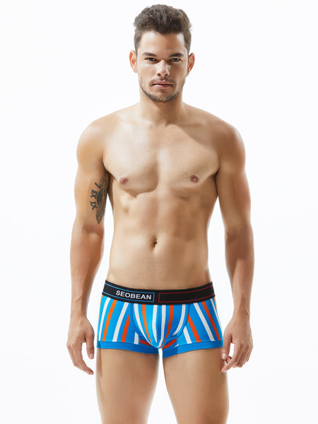 Low Rise Stripe Boxer Brief