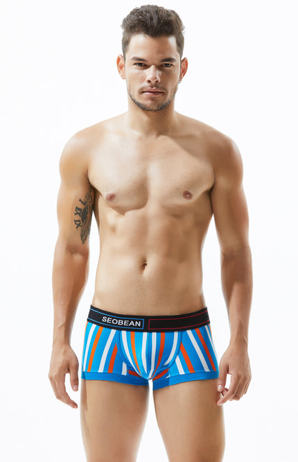 Low Rise Stripe Boxer Brief