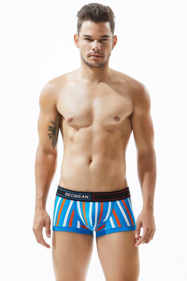 Low Rise Stripe Boxer Brief