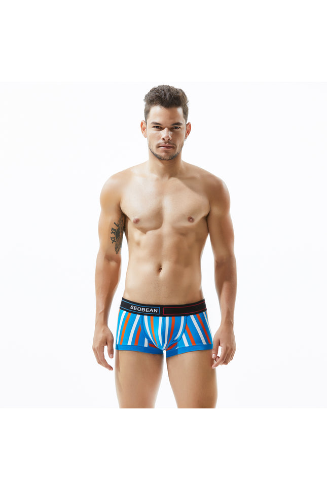 Low Rise Stripe Boxer Brief