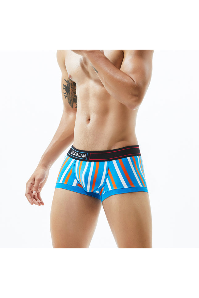 Low Rise Stripe Boxer Brief