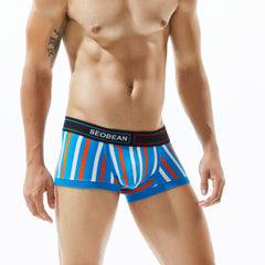 Low Rise Stripe Boxer Brief