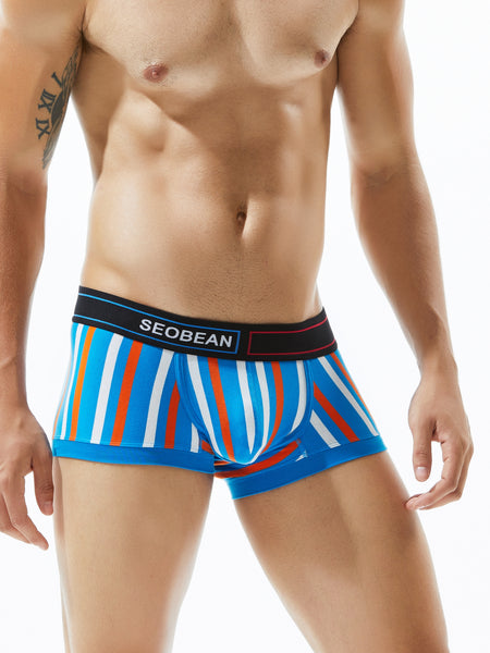Low Rise Stripe Boxer Brief